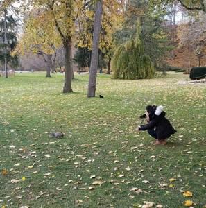 Meet your Posher, Anna